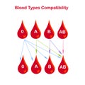 Blood types compatibility banner. Red blood drop 0, A, B, AB, arrows on white. Flat design Royalty Free Stock Photo